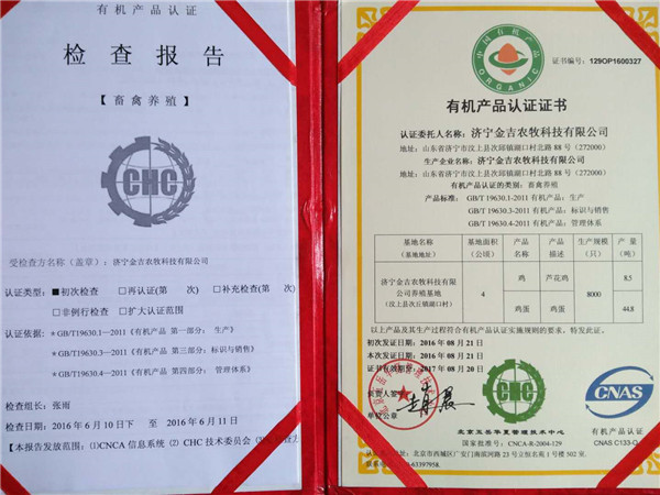 荣誉证书
